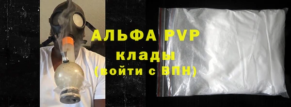 стаф Бородино