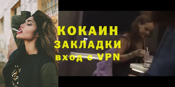 стаф Бородино