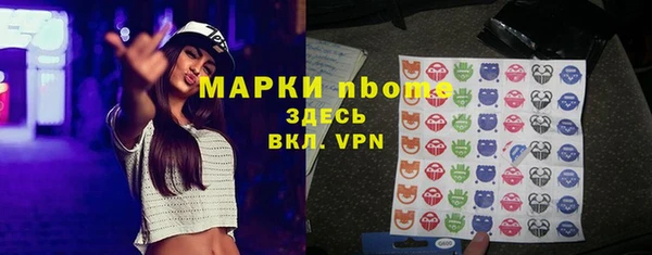 стаф Бородино