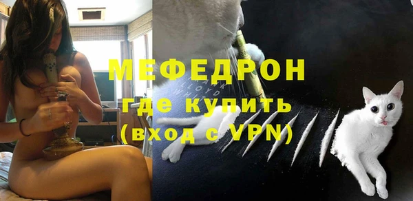 стаф Бородино